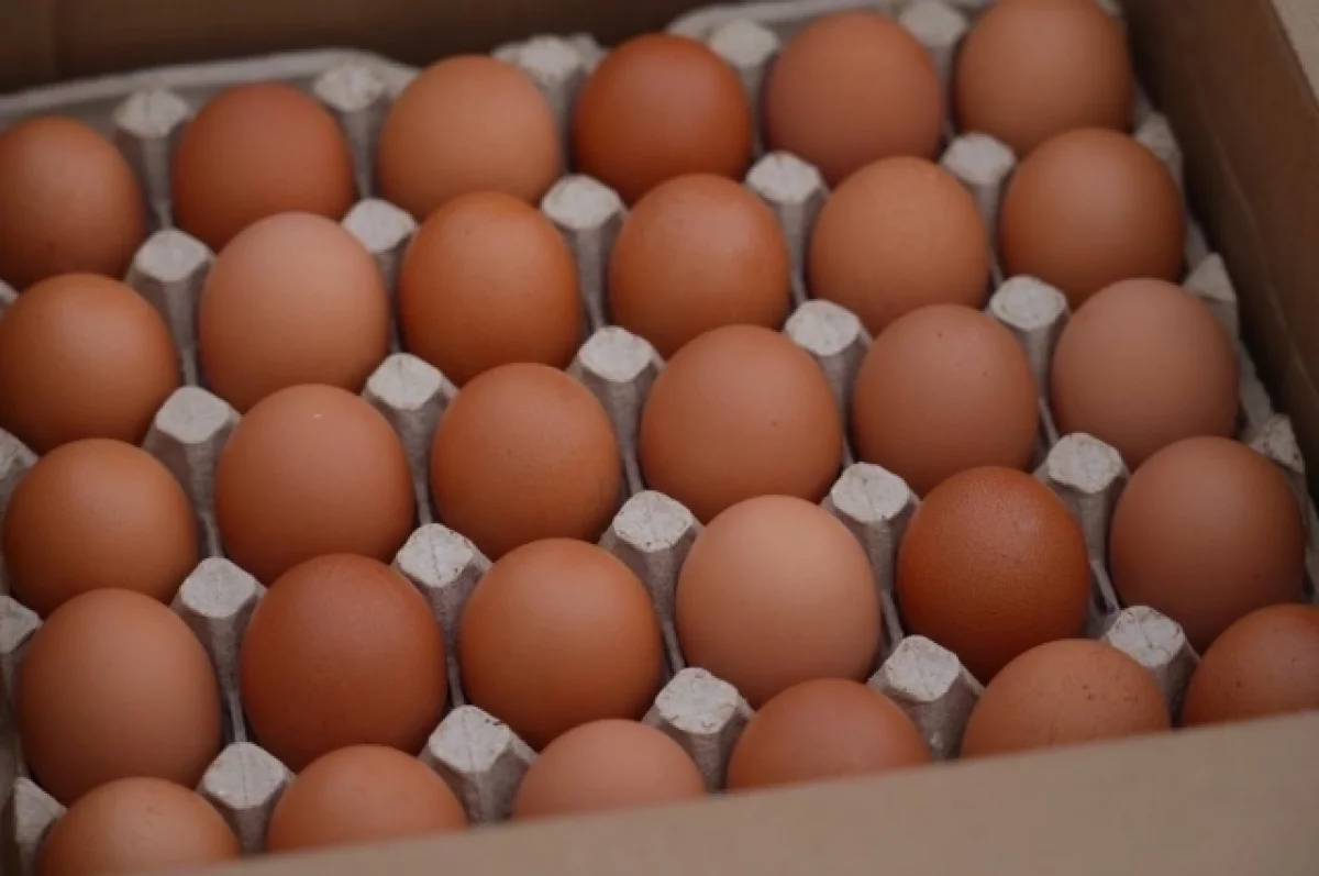 Economist: британские фермеры недовольны ростом импорта яиц с Украины