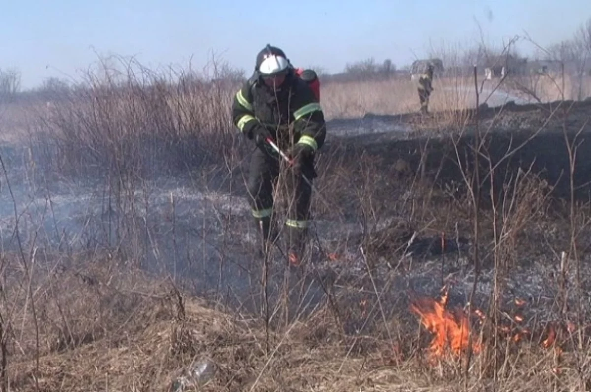 В Брянской области 20 апреля пожарные потушили палы травы на 10 га