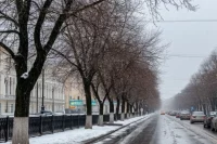 В Марий Эл после снегопада падают деревья