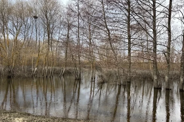 В посёлке Ласьве затоплены 11 приусадебных участков.