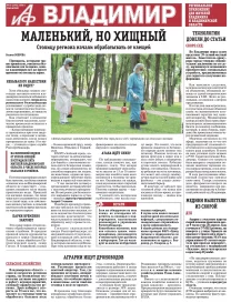 «АиФ-Владимир»