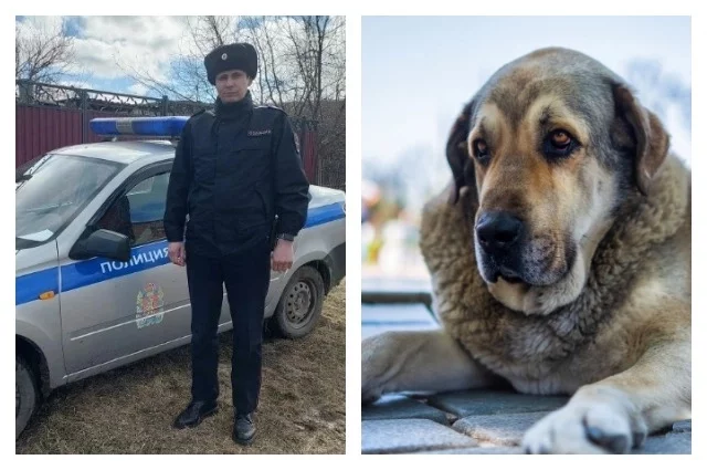 Благодаря вовремя подоспевшему старшему участковому Артёму Козлову собака не растерзала людей