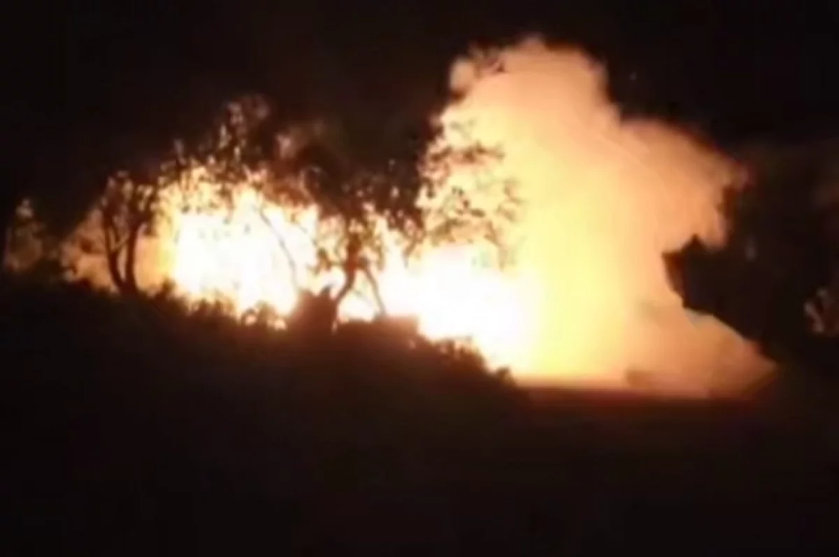 «Хезболла» провела операции против ВС Израиля в ответ на удары по Ливану