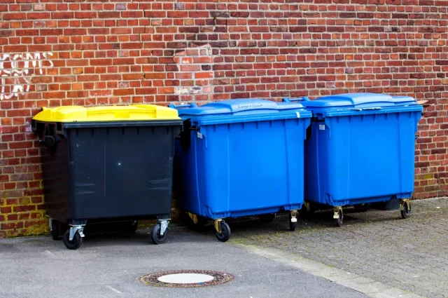 Кто именно расправился с младенцем и выбросил тело в бак, правоохранительным органам ещё предстоит установить.