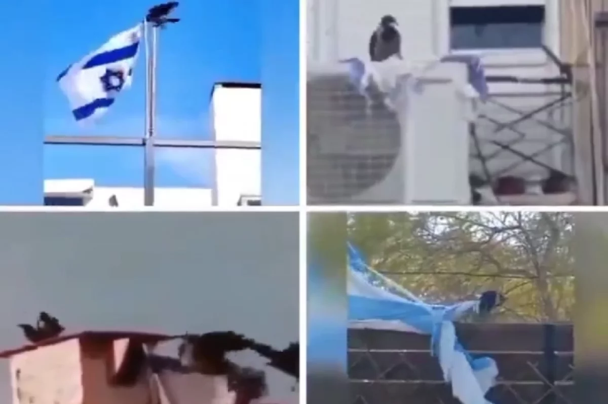 Американский политик Хинкл показал, как вороны раздирают флаг Израиля