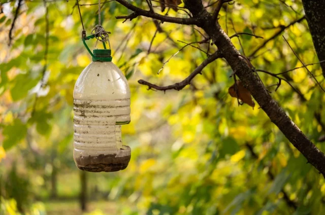 Неожиданный совет получили дачники в преддверии активного сезона.