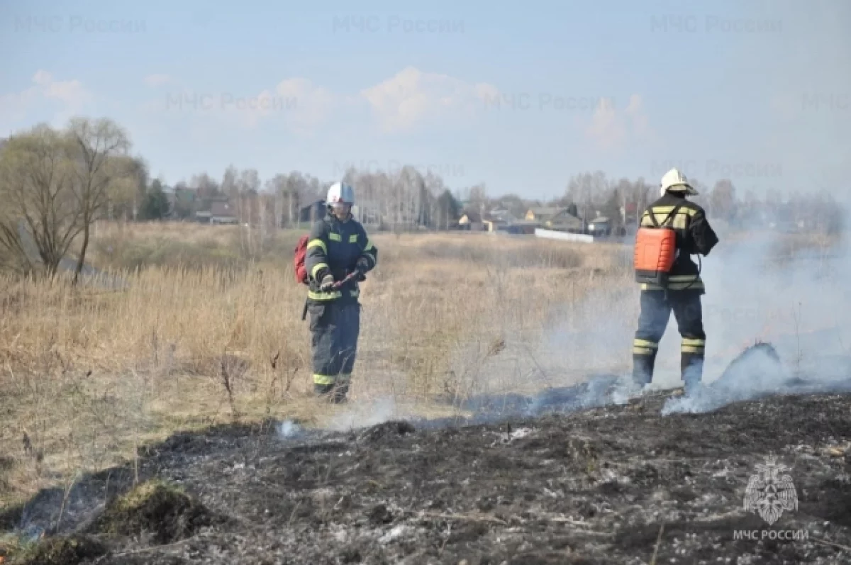 В Брянской области 23 апреля пожарные потушили 9 палов травы на 11,4 га