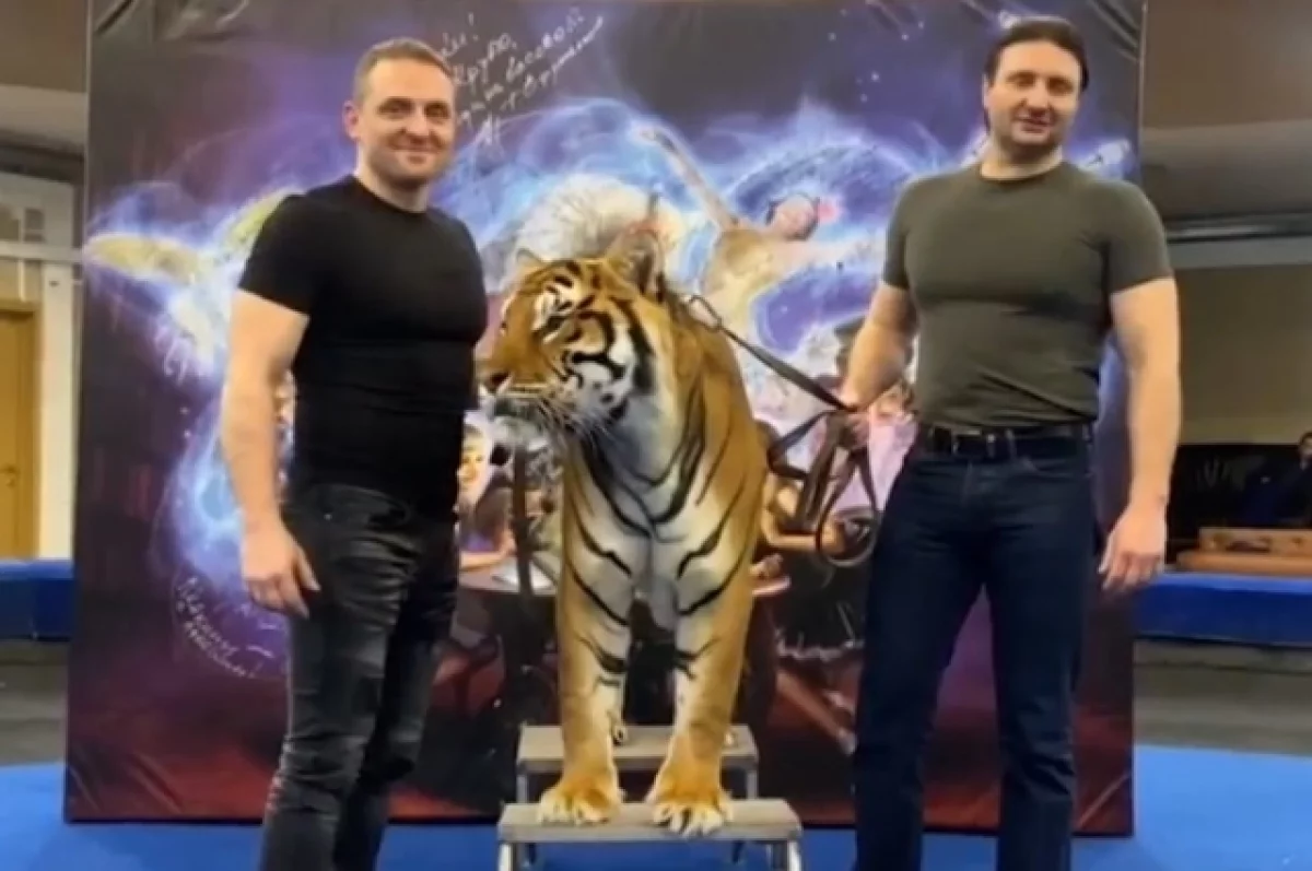 Братья Запашные передали свои доходы на развитие цирка в Луганске