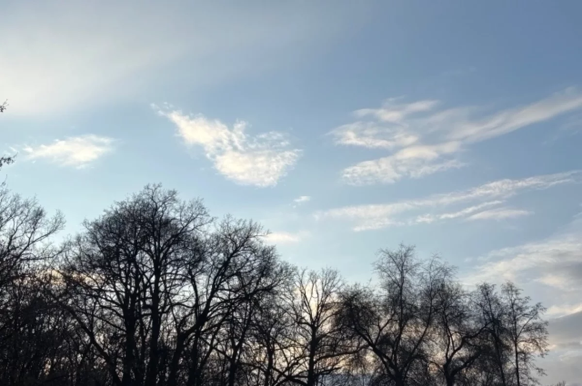 Силы ПВО сбили беспилотник над Брянской областью днем 25 апреля