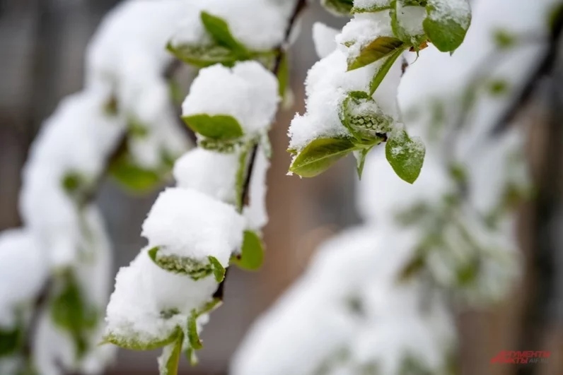 Сервисы проката велосипедов также поставили работу на паузу до улучшения метеоусловий.