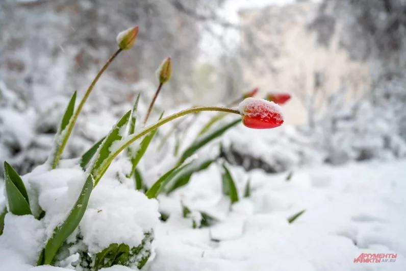 Настоящая зима в разгар весны: видимость на дорогах города заметно снизилась из-за осадков.