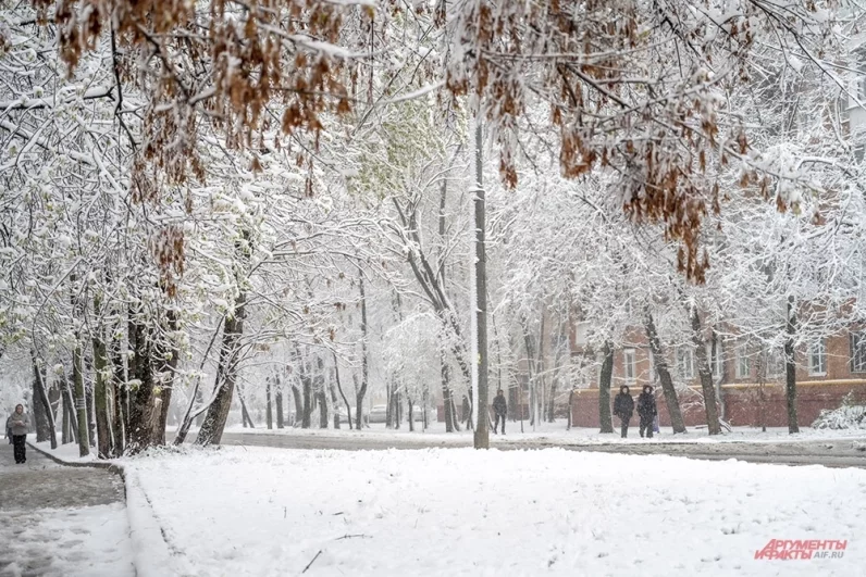 Самым безопасным и надежным способом передвижения в этот шторм остается общественный транспорт.