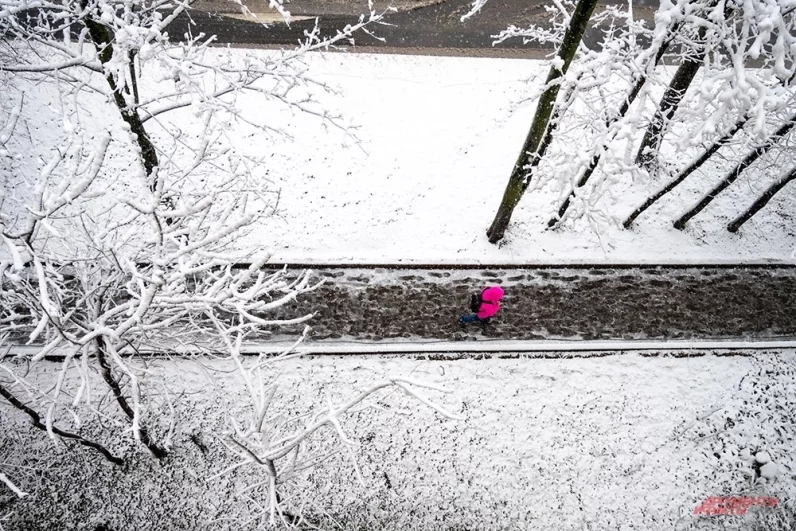 Каршеринг ограничил доступ к машинам на летней резине, чтобы снизить риск аварий.