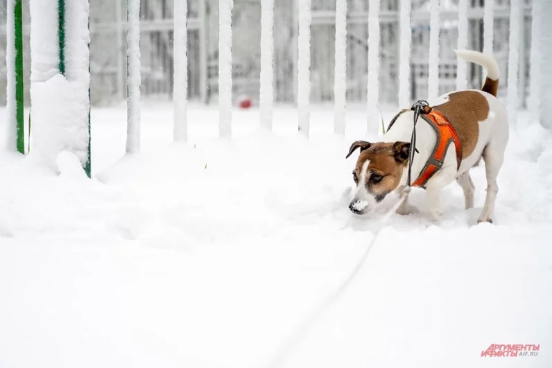 Опасный момент: на многих участках дорог из-за заморозков мгновенно образовалась гололедица.