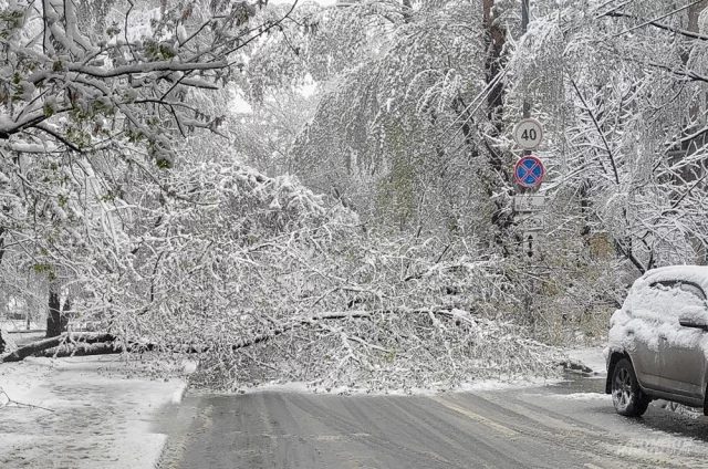 Погода в период с 27 апреля по 3 мая будет определяться ультраполярным вторжением холодных воздушных масс.