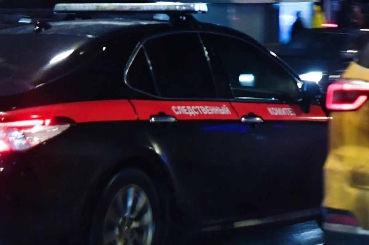 В Нижегородской области 12-летняя девочка погибла после выстрела в машине