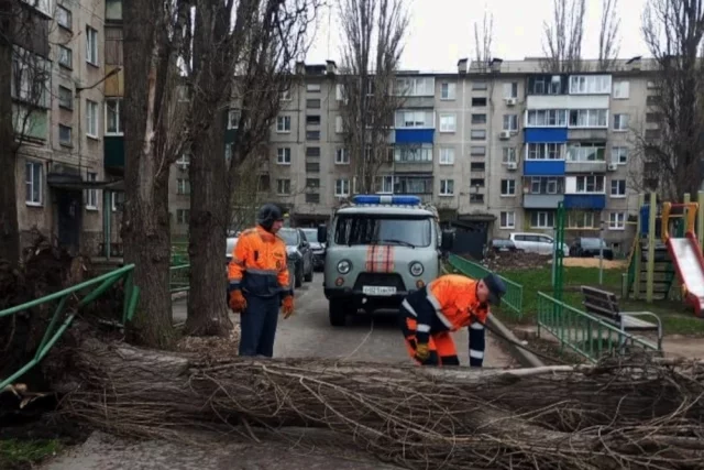 В Липецке дерево рухнуло рядом с детской площадкой.