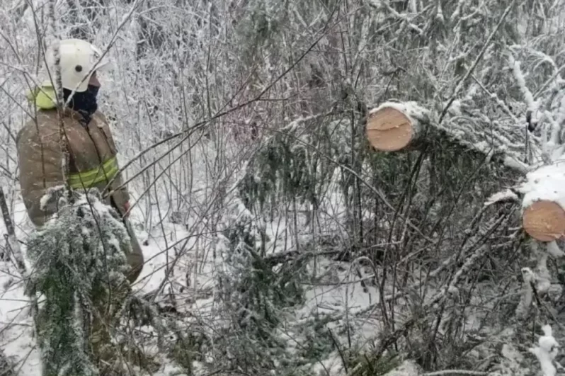 В Лесном округе ликвидируют последствия непогоды.