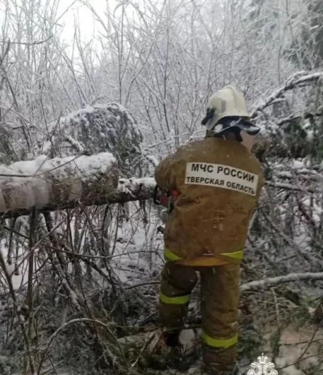 Больше всего снега пока наблюдается в Лесном округе.