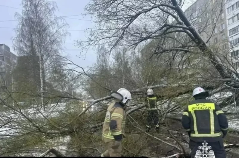 Спасатели трудятся в Удомельском округе.