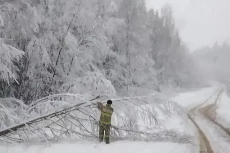 Дерево убирают с засыпанного снегом Лесного округа.