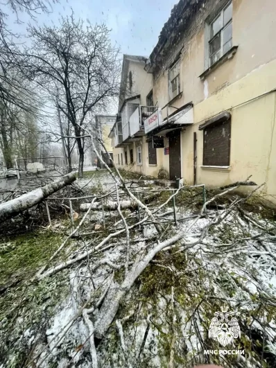 Дерево упало на дом на бульваре Шмидта в Твери.