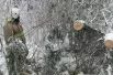 В Лесном округе ликвидируют последствия непогоды.