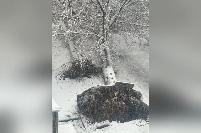 Теперь этот же циклон движется в сторону Татарстана, и, по прогнозам синоптиков, республику ждут холод, осадки и новые порывы. 
