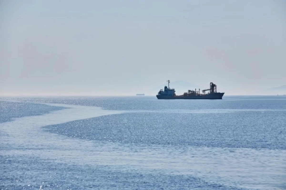 Nikkei: Ирану не платили за проход японского танкера через Ормузский пролив