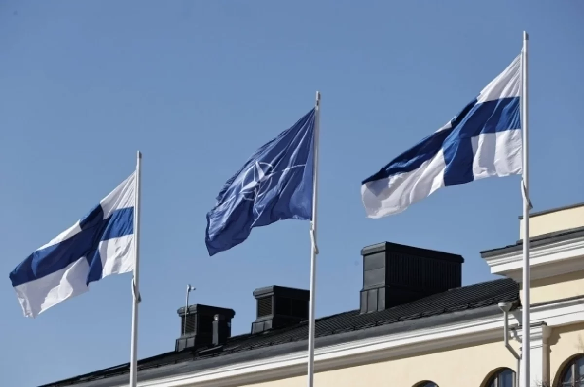 Политик Мема: вступление в НАТО принесло Финляндии лишь проблемы