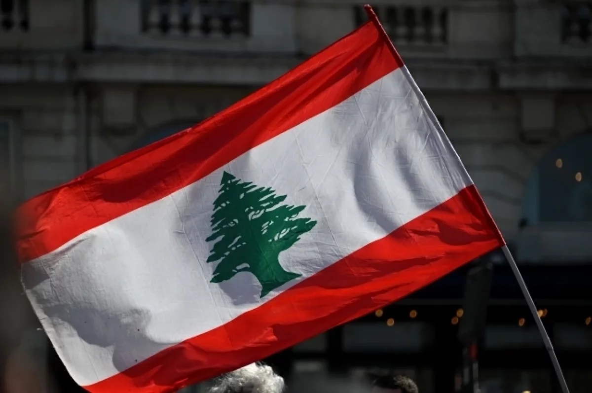 Экс-глава МИД Ливана заявил, что Израиль применяет политику выжженной земли