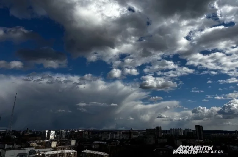 29 апреля ветер дует в сторону города.