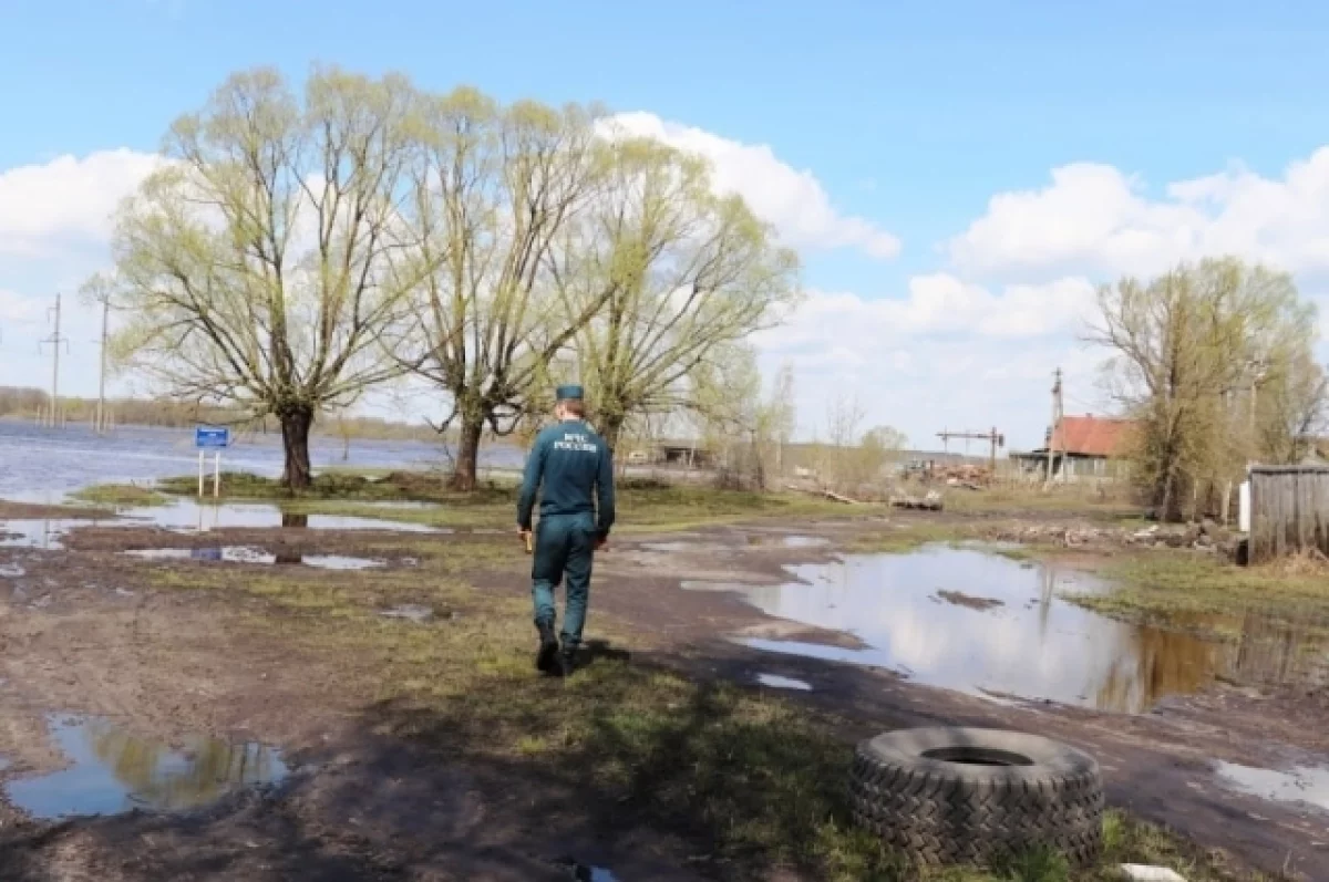 В Брянской области от воды освободились все затопленные паводком участки