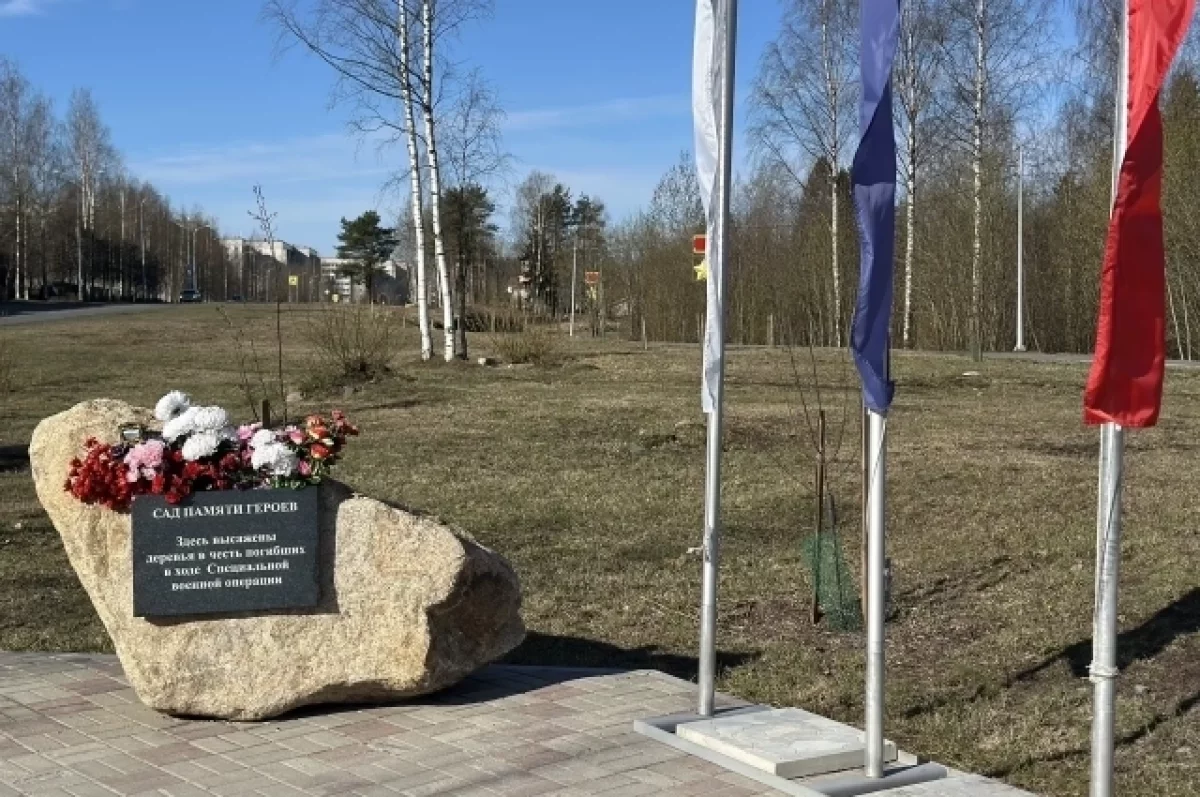 К благоустройству сада Памяти Героев приступили в Петрозаводске