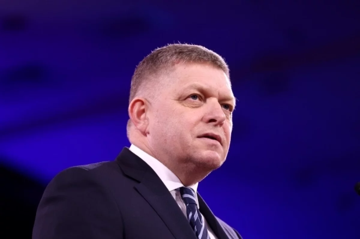 Песков назвал дуростью желание Прибалтики помешать Фицо прилететь в Россию