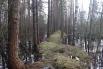 Рядом с дорогами раньше пытались строить дамбы, чтобы вода во время половодья не подходила к трассам. Этой весной дамба не справилась со стихией. 