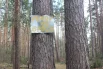 Напоминание для туристов. Но, судя по мусору в лесу, гости его игнорируют. 