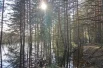 Любимая у местных жителей «туристическая тропа» затоплена. Для прогулок приходится выбирать другие маршруты. 