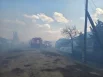Прокуратура проводит проверку.