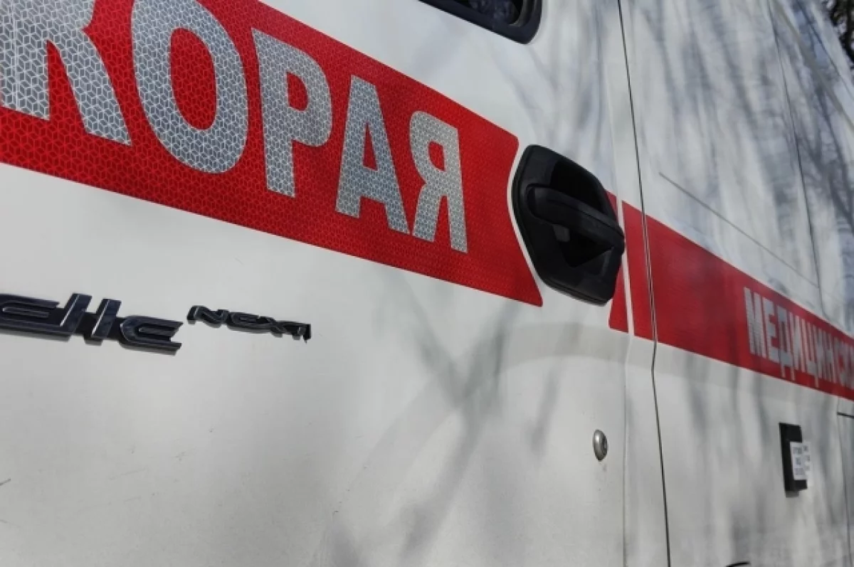 Семь сотрудников АПХ Мираторг ранены при ударе по селу в Брянской области