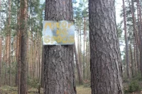  Теперь, когда сугробы растаяли, обнаружилась экологическая катастрофа.