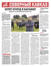 Хотят огород и баранов?