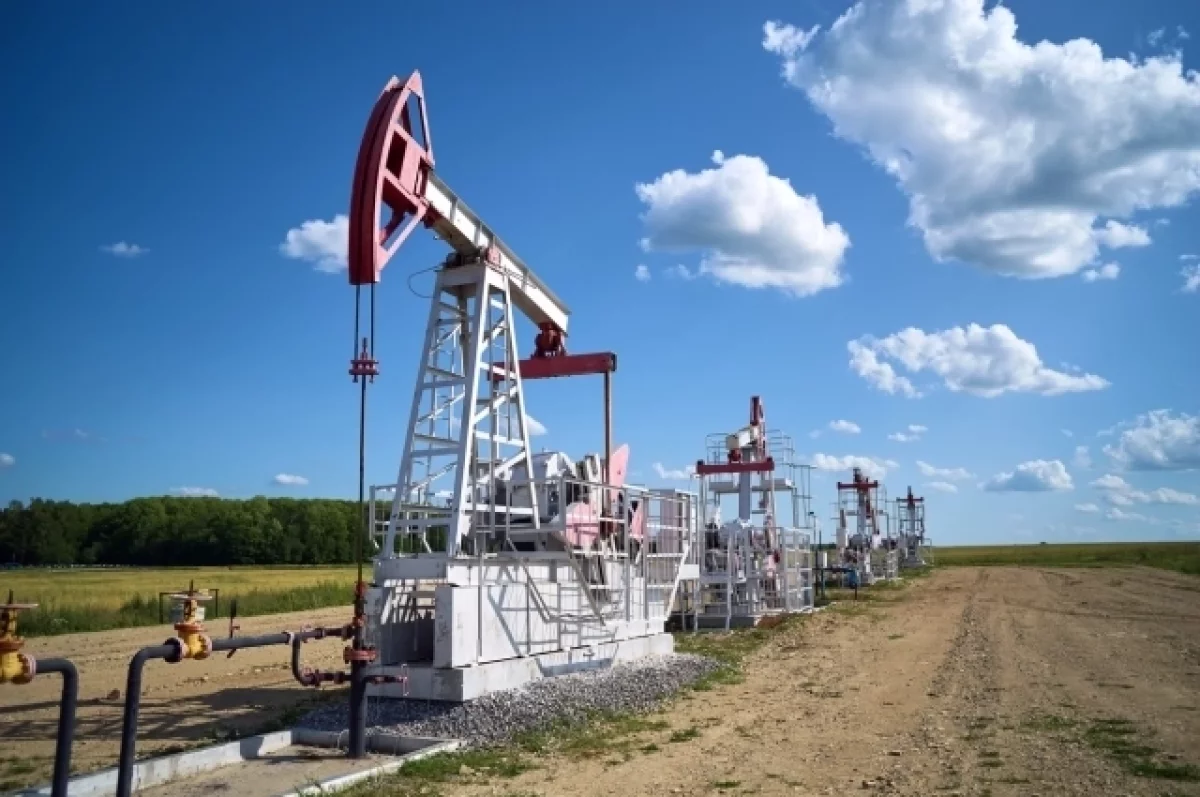 Добыча нефти ОПЕК упала до минимума за 36 лет
