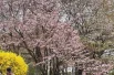 Наслаждаться красотой.