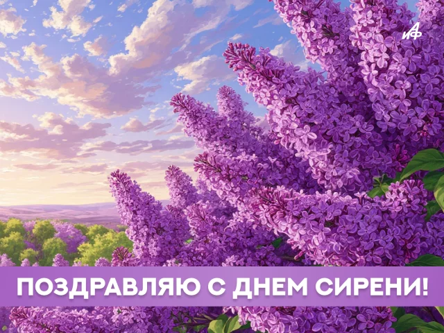 Атмосферная картинка с цветущей сиренью