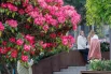 Многочисленные скамьи и кресла превратили проходную зону в уютную гостиную для чтения и отдыха.