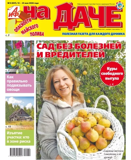Свежий номер