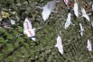 Послания героям на передовой.