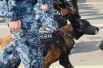 В торжественном марше впервые приняли участие кинологи с собаками.