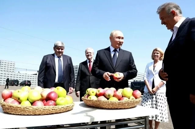 Президент России Владимир Путин, глава Кабардино-Балкарии Казбек Коков, полпред президента в СКФО Юрий Чайка, министр сельского хозяйства Оксана Лут, учредитель агропредприятия в КБР Рашид Тумов.